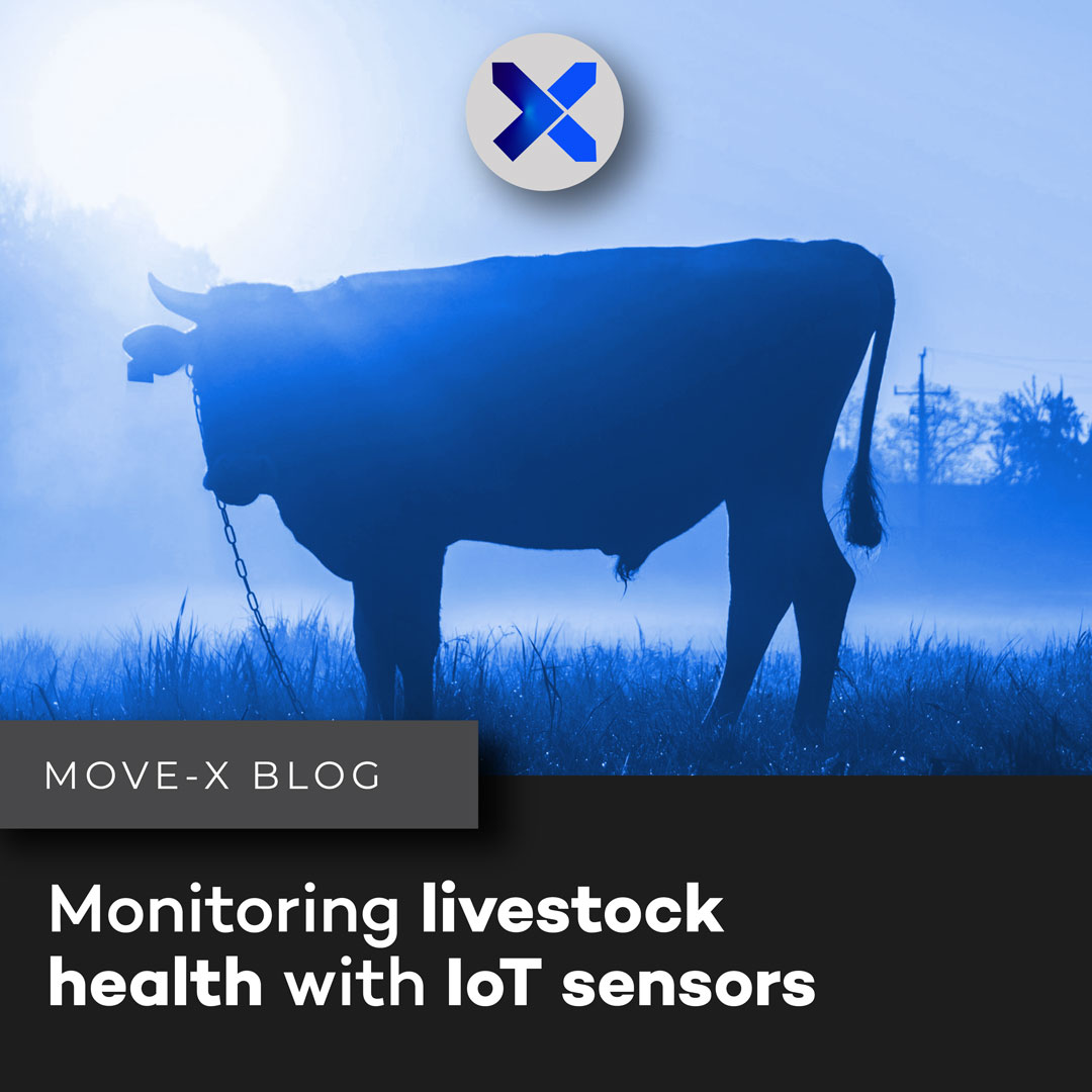 monitoring livestock health with IoT sensors