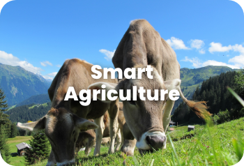Smart Agriculture