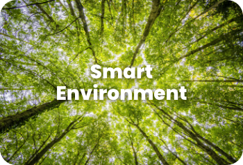 Smart Environment